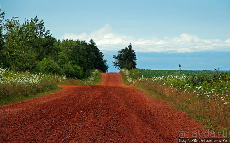 Смотрим на архитектурное чудо со стороны Смотрим на архитектурное чудо со стороны