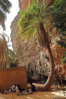 Альбом отзыва "Ах какой был в пустыне... — настоящий оазис"