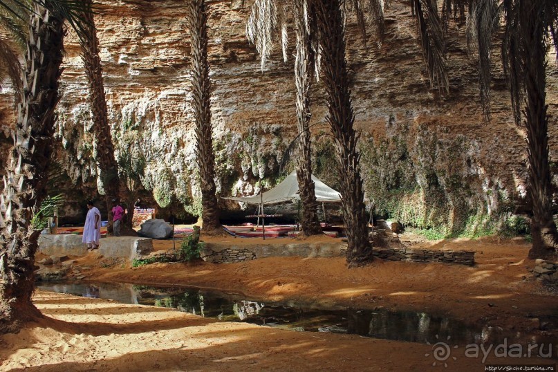 Альбом отзыва "Ах какой был в пустыне... — настоящий оазис"