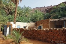 Альбом отзыва "Ах какой был в пустыне... — настоящий оазис"