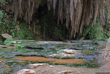 Альбом отзыва "Ах какой был в пустыне... — настоящий оазис"