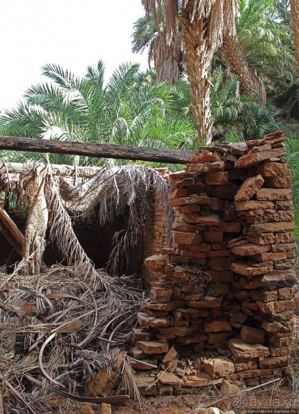 Альбом отзыва "Ах какой был в пустыне... — настоящий оазис"