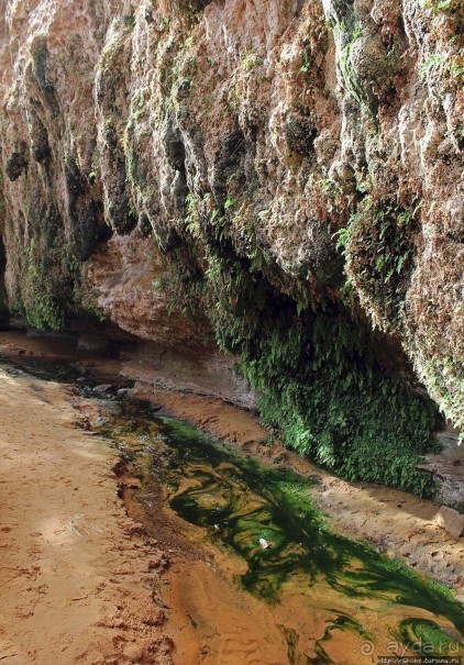 Альбом отзыва "Ах какой был в пустыне... — настоящий оазис"