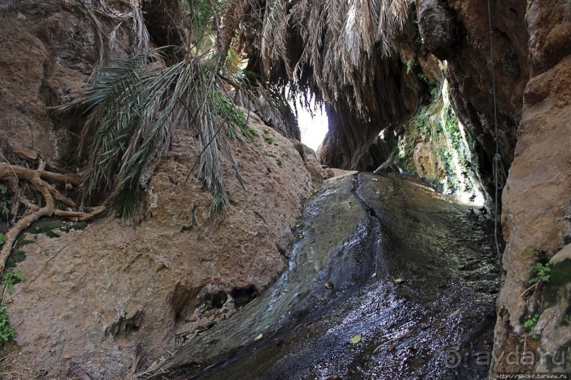 Альбом отзыва "Ах какой был в пустыне... — настоящий оазис"