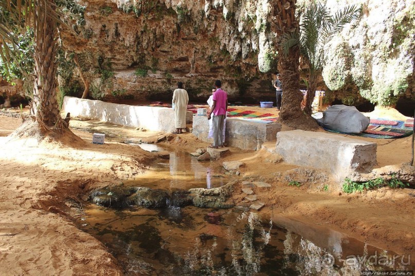 Альбом отзыва "Ах какой был в пустыне... — настоящий оазис"