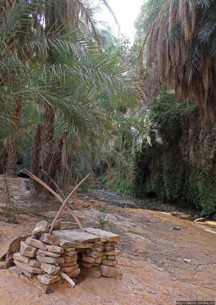 Альбом отзыва "Ах какой был в пустыне... — настоящий оазис"