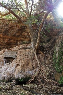 Альбом отзыва "Ах какой был в пустыне... — настоящий оазис"