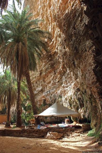 Альбом отзыва "Ах какой был в пустыне... — настоящий оазис"