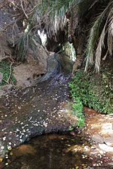 Альбом отзыва "Ах какой был в пустыне... — настоящий оазис"