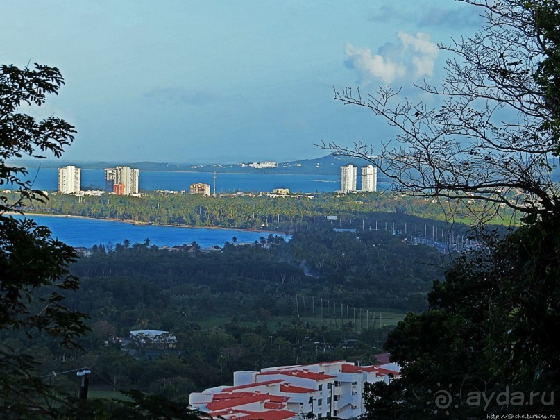 Неделя на Пуэрто-Рико. Интегральная заметка