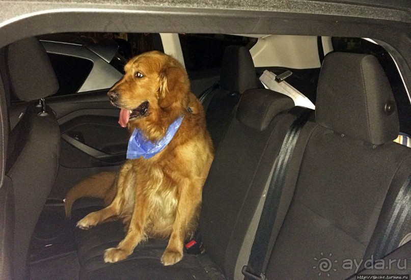 Неделя на Пуэрто-Рико. Интегральная заметка