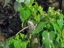 Неделя на Пуэрто-Рико. Интегральная заметка