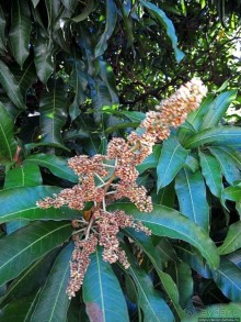 Неделя на Пуэрто-Рико. Интегральная заметка