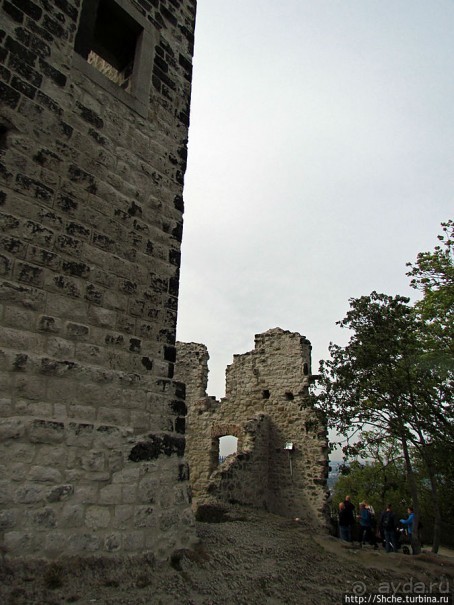 Руины замка Драхенфельс на вершине Скалы Дракона Drachenfels