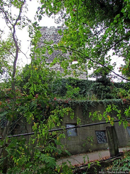 Руины замка Драхенфельс на вершине Скалы Дракона Drachenfels