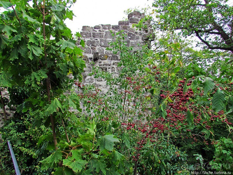 Руины замка Драхенфельс на вершине Скалы Дракона Drachenfels