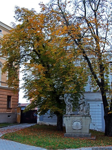 Немного Кромержижа октябрьским вечерком