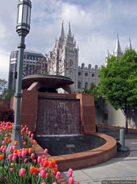 Salt Lake City весной.Интересная столица оригинального штата