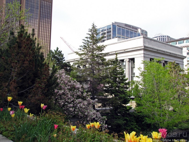 Salt Lake City весной.Интересная столица оригинального штата