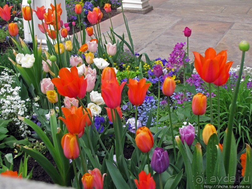 Salt Lake City весной.Интересная столица оригинального штата