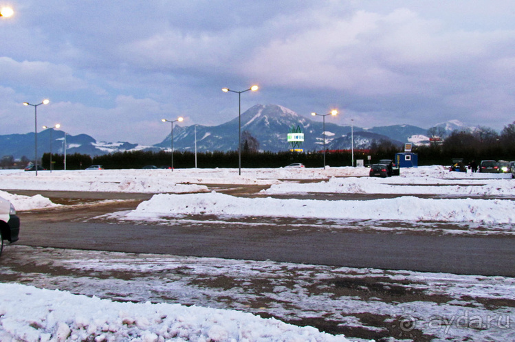 "Взять быка за рога", или "Red Bull" окрыляет