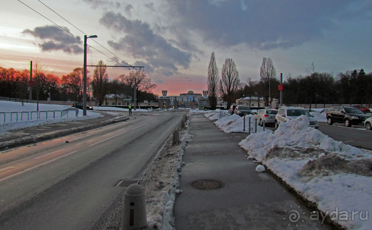 "Взять быка за рога", или "Red Bull" окрыляет