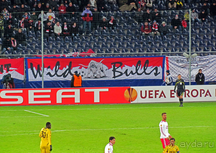 "Взять быка за рога", или "Red Bull" окрыляет