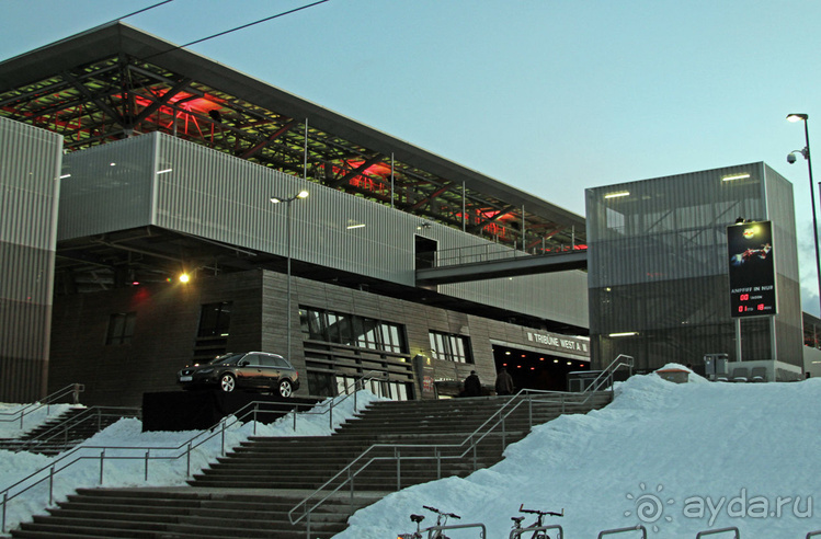 "Взять быка за рога", или "Red Bull" окрыляет