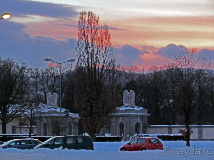 "Взять быка за рога", или "Red Bull" окрыляет