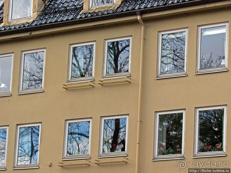 Kjopmannsgate, знакомство с Тронхеймом обещает быть приятным