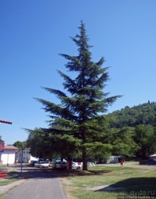 Комфортабельный автокемпинг-отель в уединенном заливе