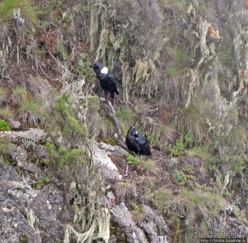 Всречаем рассвет на пике Социализма ( Socialist Peak 4562m)