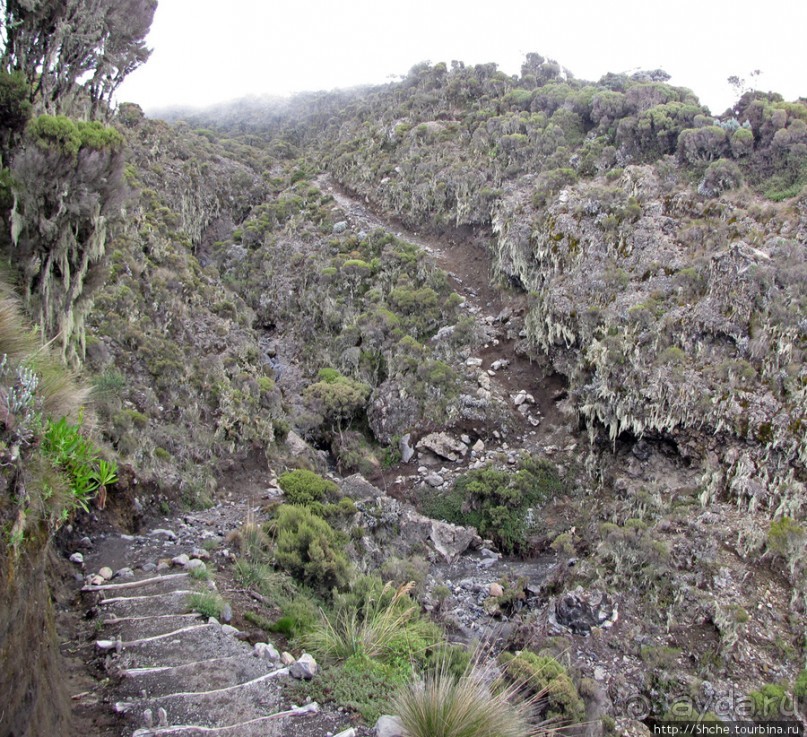 Всречаем рассвет на пике Социализма ( Socialist Peak 4562m)