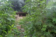 Пограничная застава КНДР и южнокорейская "стена"