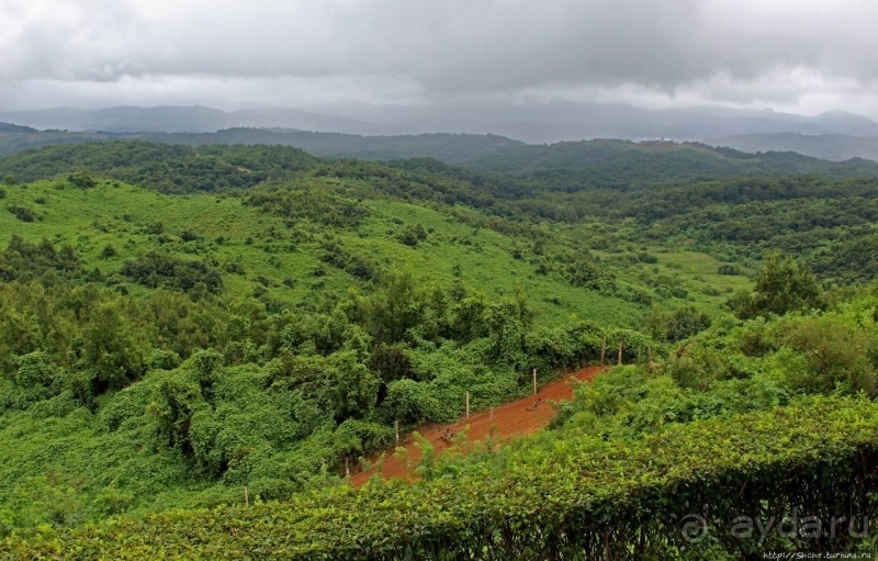 Альбом истории "Пограничная застава КНДР и южнокорейская "стена""