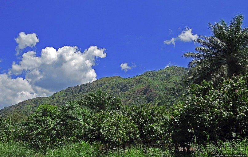 Горы Рувензори — практически не был, но побывал