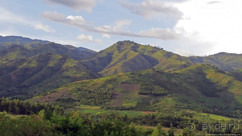 Горы Рувензори — практически не был, но побывал Горы Рувензори — практически не был, но побывал