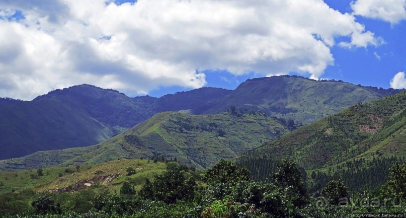Горы Рувензори — практически не был, но побывал Горы Рувензори — практически не был, но побывал