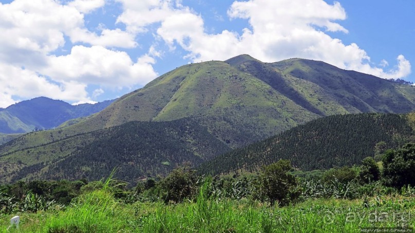 Горы Рувензори — практически не был, но побывал Горы Рувензори — практически не был, но побывал