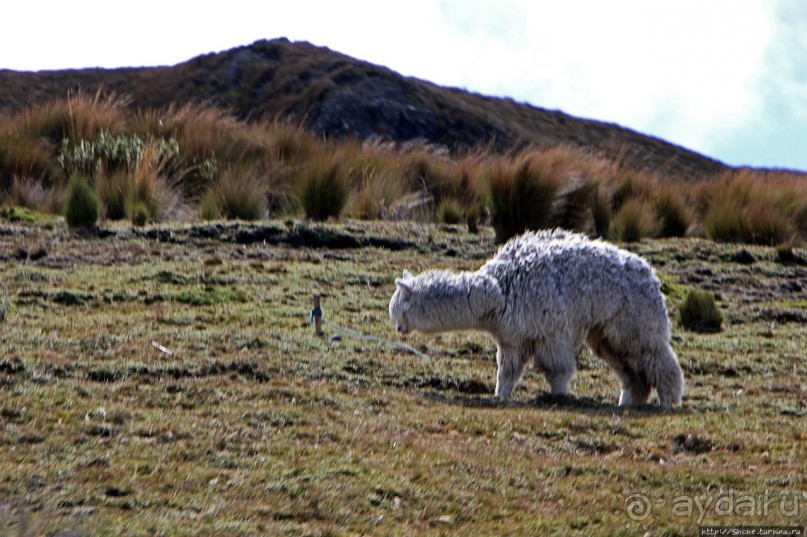 Эквадорские картинки. Благодатный край — провинция Котопакси