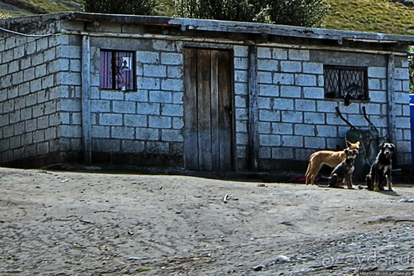 Эквадорские картинки. Благодатный край — провинция Котопакси