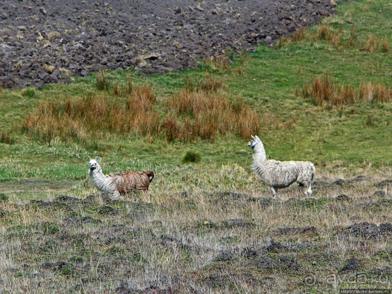 Эквадорские картинки. Благодатный край — провинция Котопакси