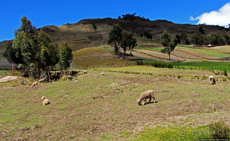 Эквадорские картинки. Благодатный край — провинция Котопакси