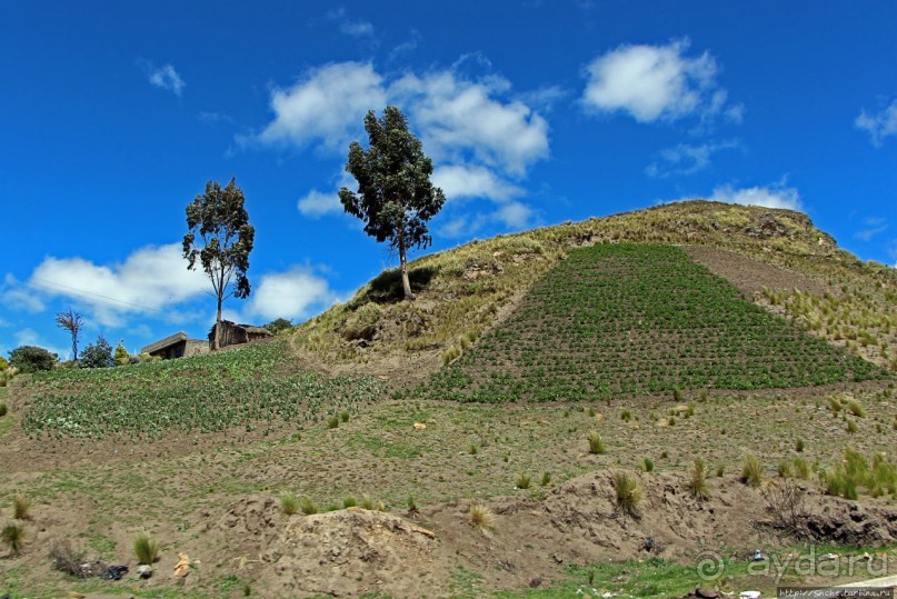 Эквадорские картинки. Благодатный край — провинция Котопакси