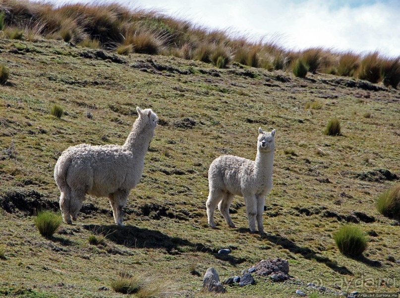 Эквадорские картинки. Благодатный край — провинция Котопакси