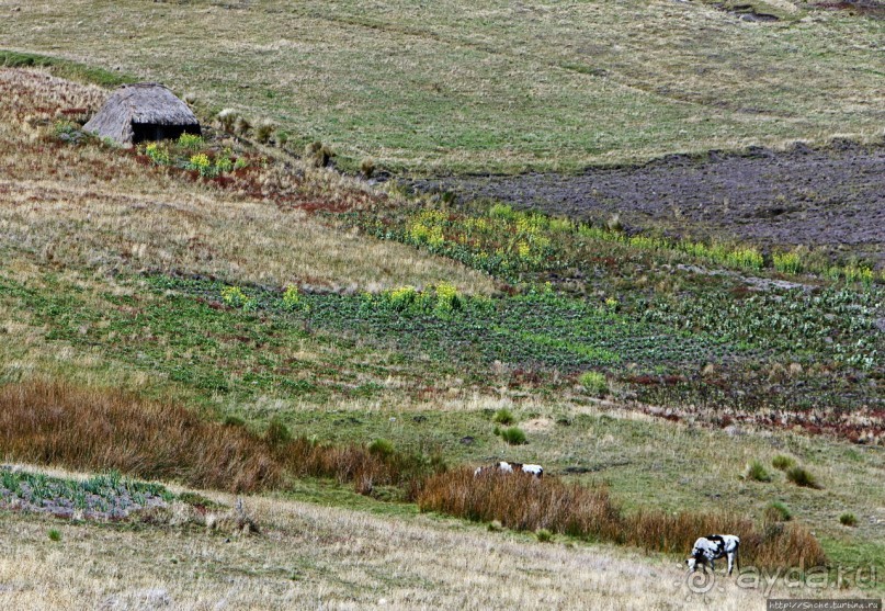 Эквадорские картинки. Благодатный край — провинция Котопакси