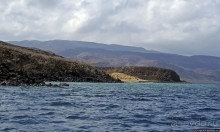 Обычная неудача — попытка наблюдения за китовыми акулами