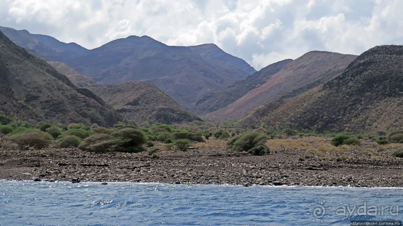 Обычная неудача — попытка наблюдения за китовыми акулами