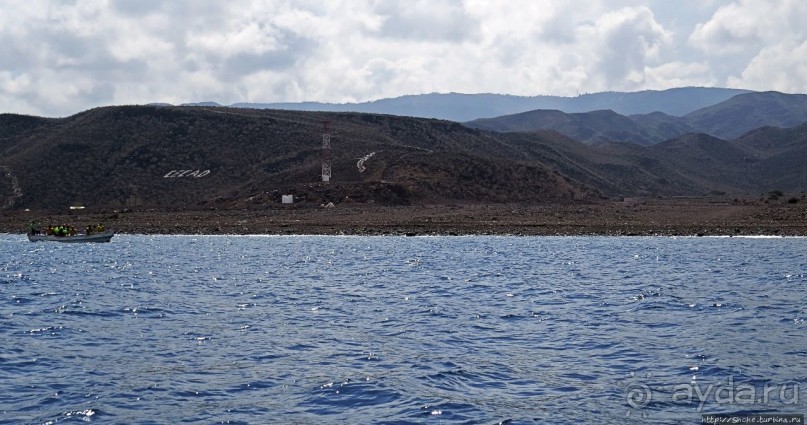 Обычная неудача — попытка наблюдения за китовыми акулами