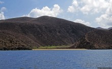 Обычная неудача — попытка наблюдения за китовыми акулами